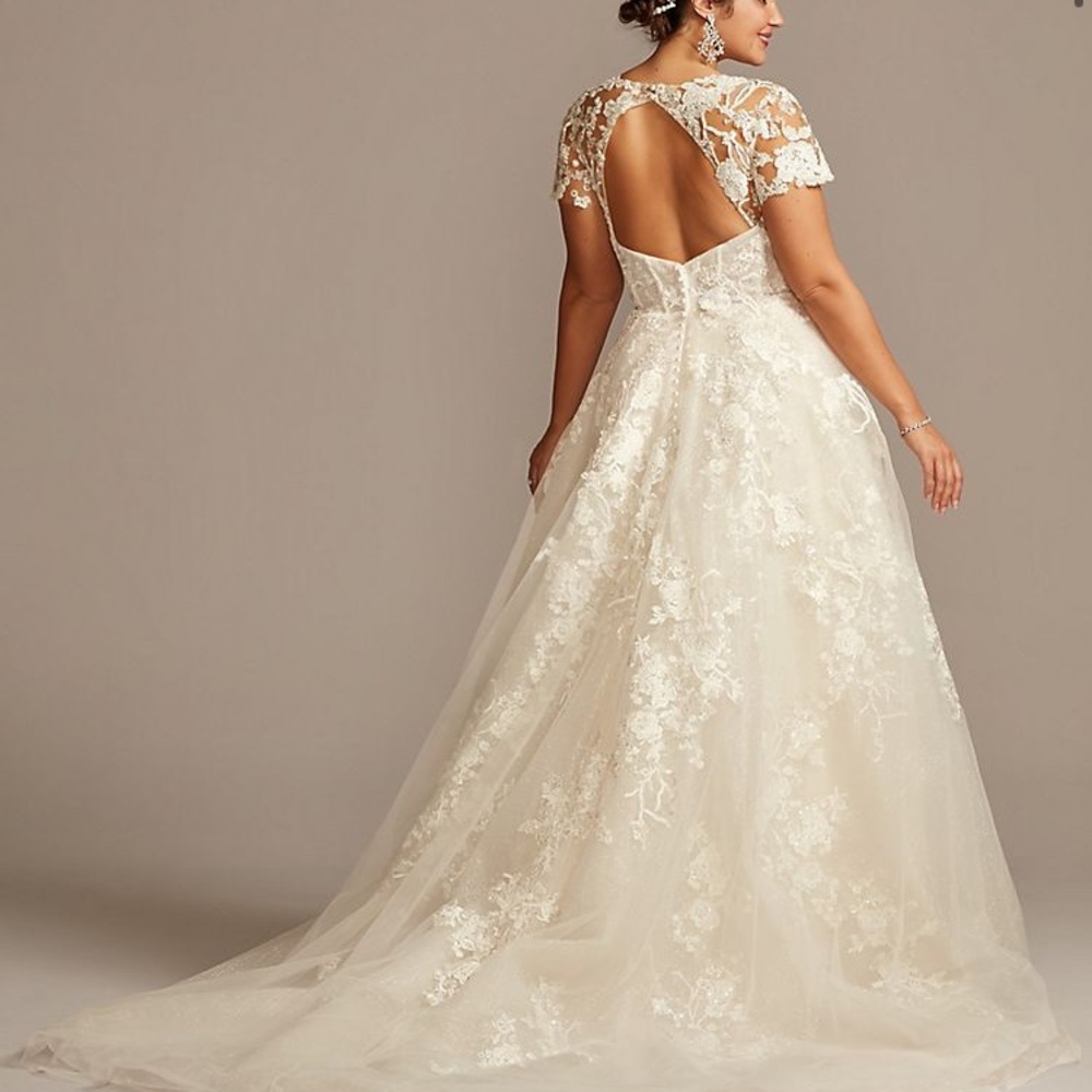 Lace Illusion Cap Sleeve Plus Size Wedding Dress